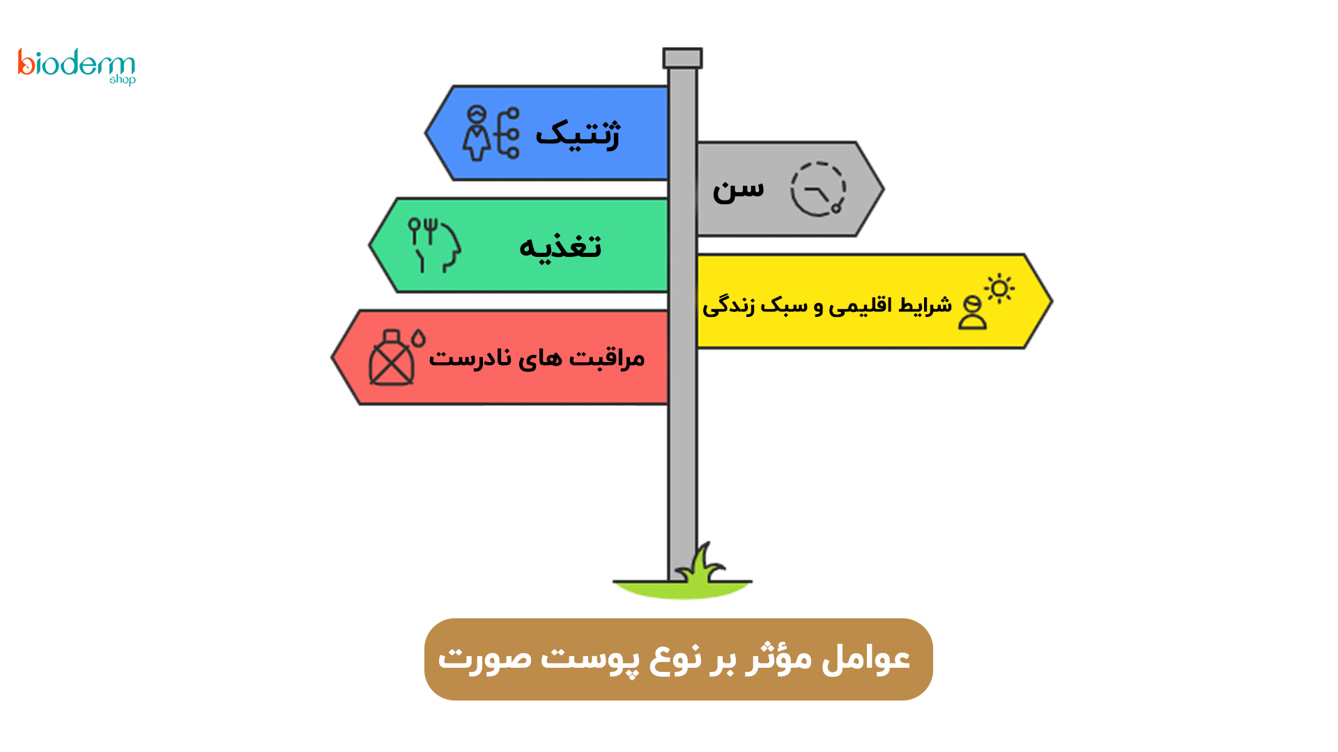 عوامل مؤثر بر نوع پوست صورت